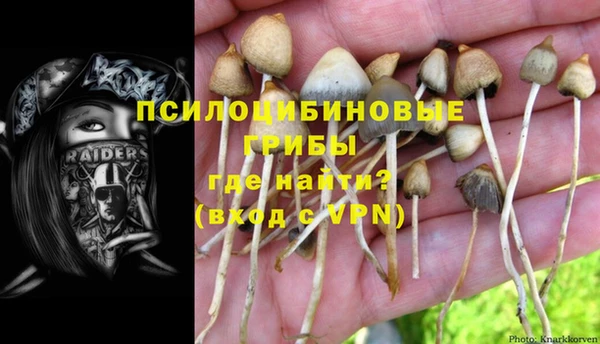 jwh Касимов