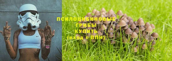ALPHA PVP Карталы