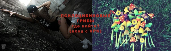 ALPHA PVP Карталы
